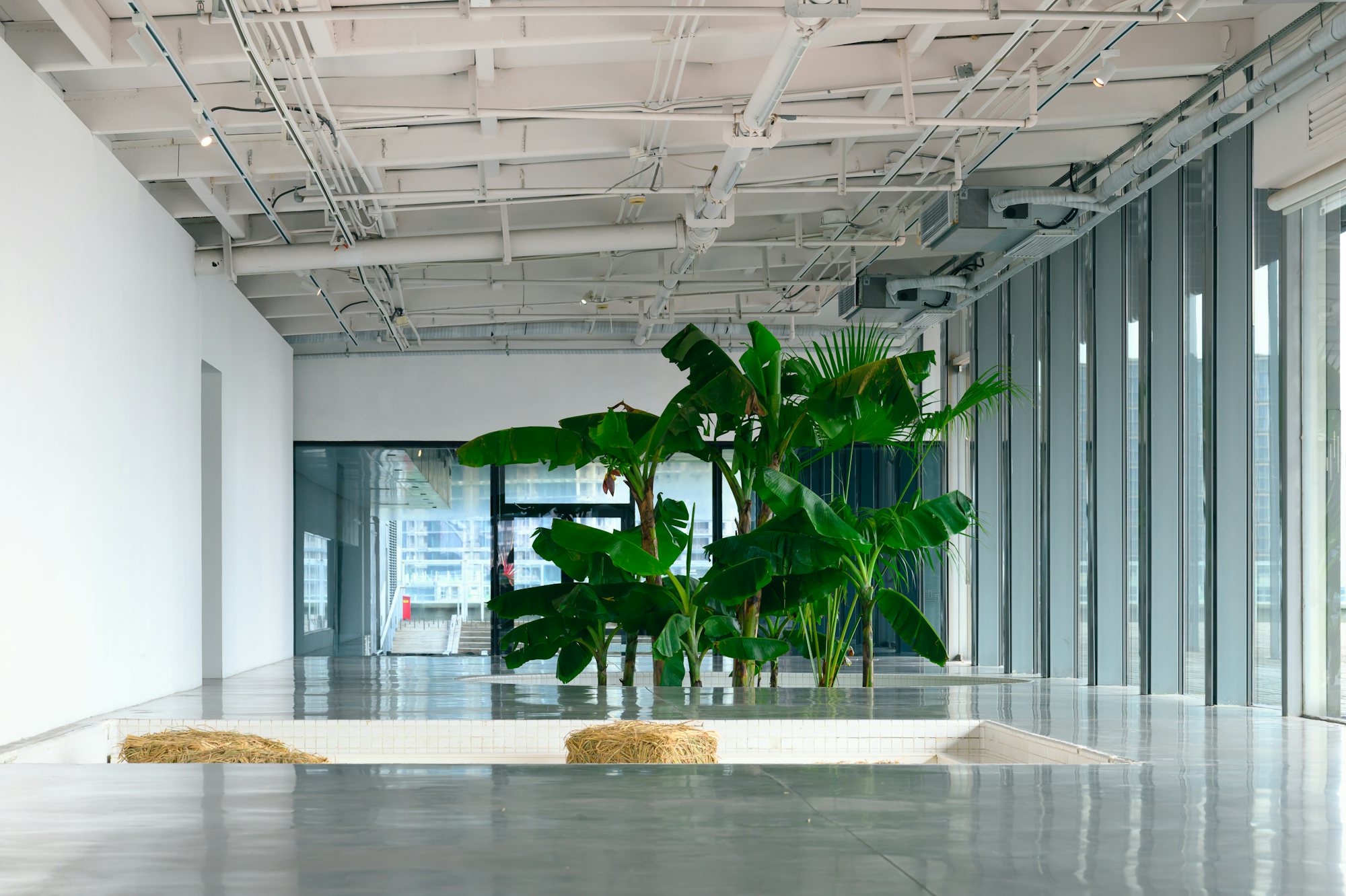 Open daylit floor with exposed ceiling services, tall windows and a planted court