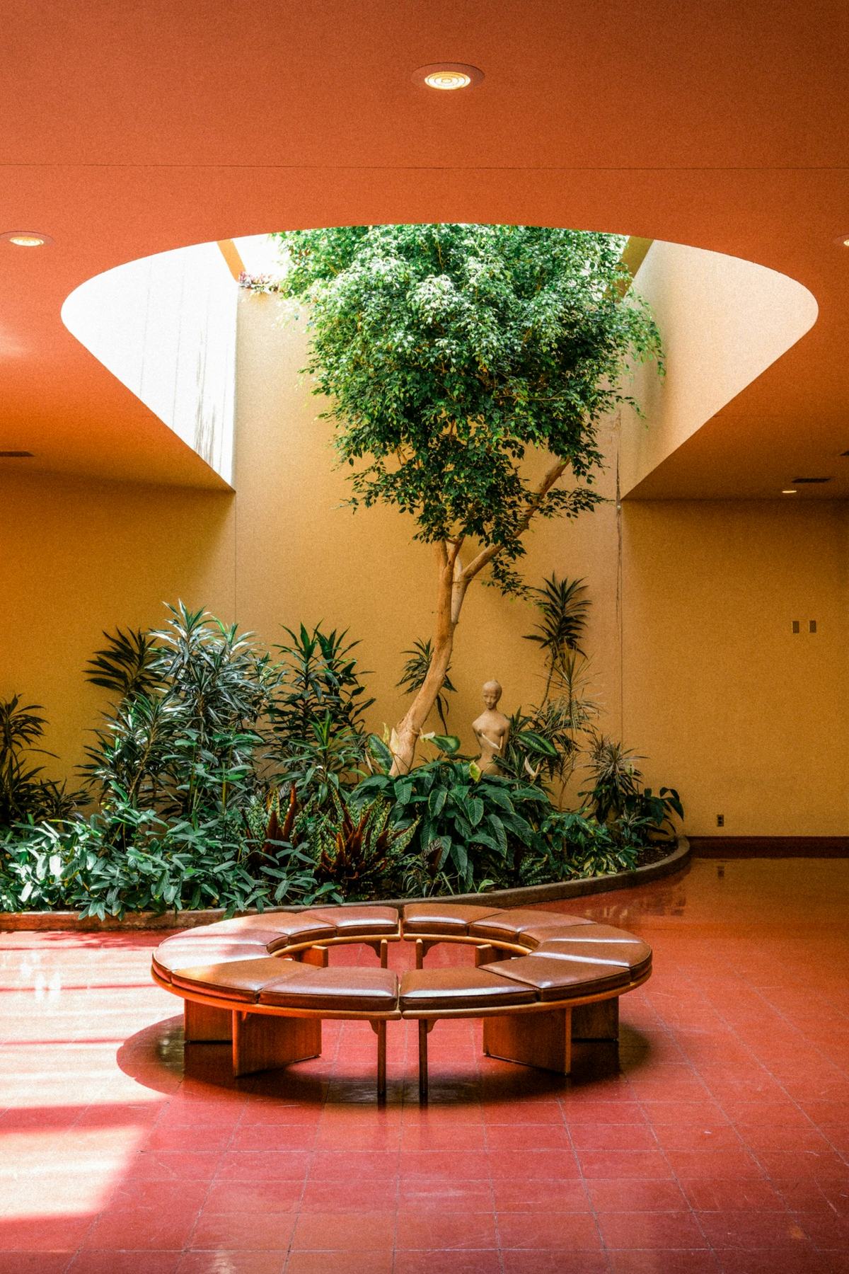 An indoor garden with a tree and a round bench under a circular skylight, in warm terracotta tones.