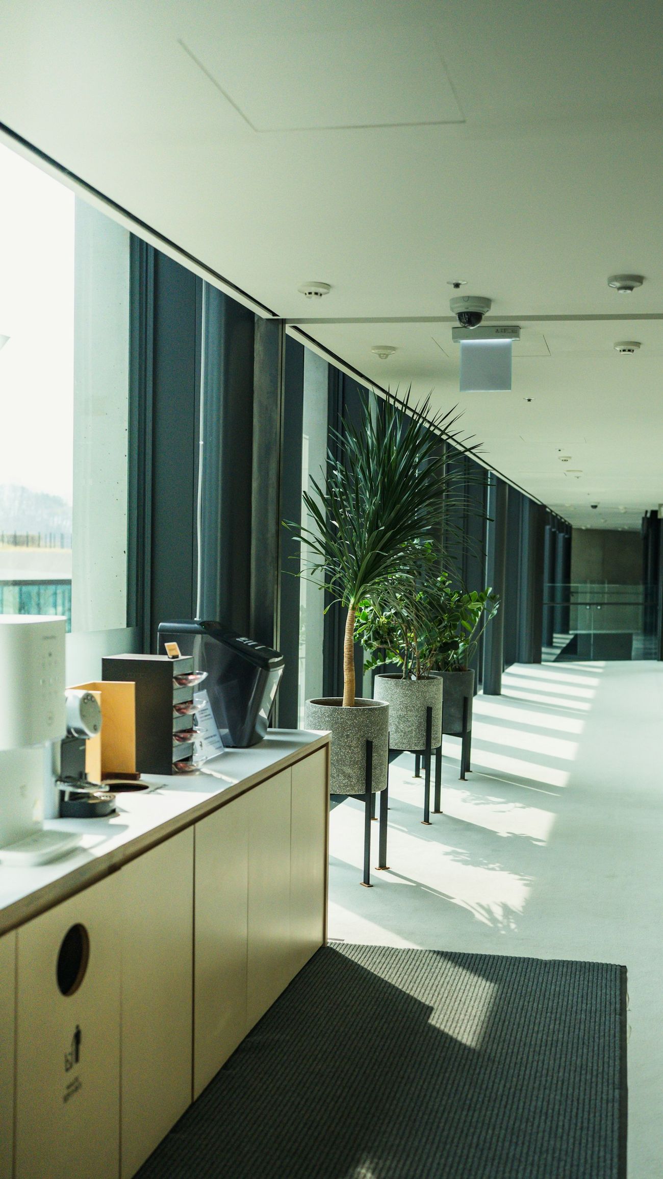 A long sunlit corridor with plants along the window wall.